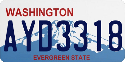 WA license plate AYD3318