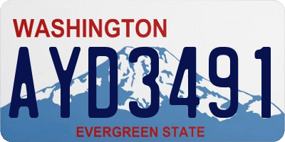 WA license plate AYD3491