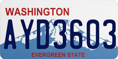 WA license plate AYD3603