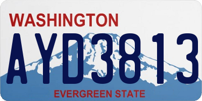 WA license plate AYD3813
