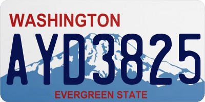 WA license plate AYD3825