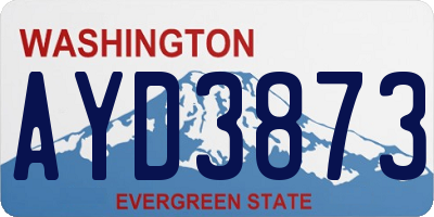 WA license plate AYD3873