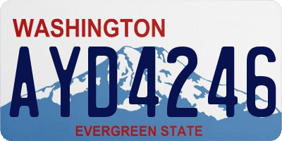 WA license plate AYD4246