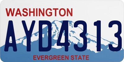 WA license plate AYD4313