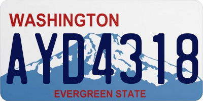 WA license plate AYD4318