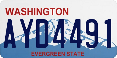 WA license plate AYD4491