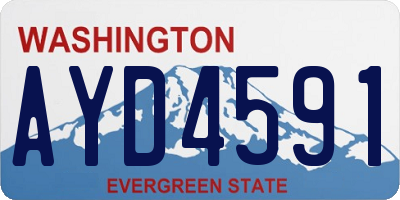 WA license plate AYD4591