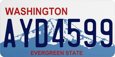 WA license plate AYD4599