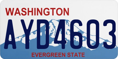WA license plate AYD4603