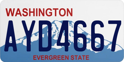 WA license plate AYD4667