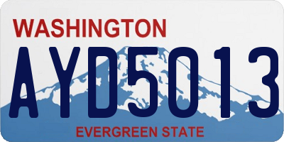 WA license plate AYD5013