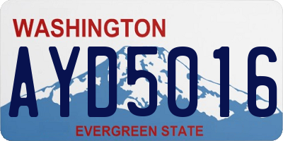 WA license plate AYD5016