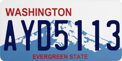 WA license plate AYD5113