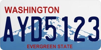 WA license plate AYD5123