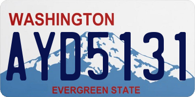 WA license plate AYD5131