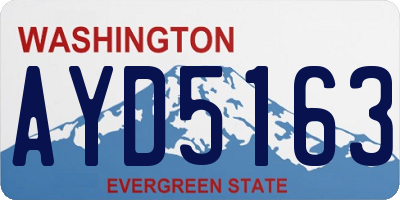 WA license plate AYD5163