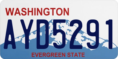 WA license plate AYD5291