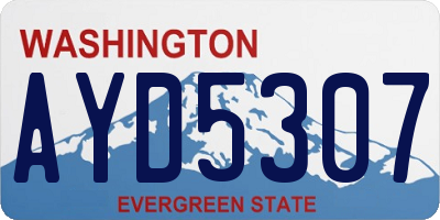WA license plate AYD5307
