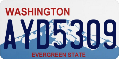 WA license plate AYD5309