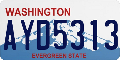 WA license plate AYD5313
