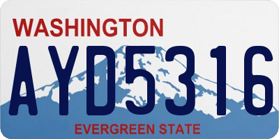 WA license plate AYD5316