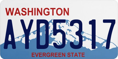 WA license plate AYD5317