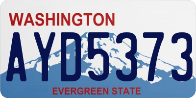 WA license plate AYD5373