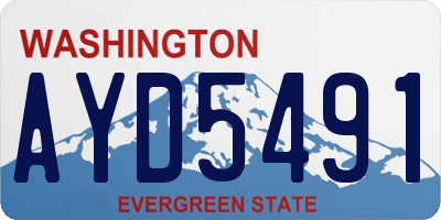 WA license plate AYD5491