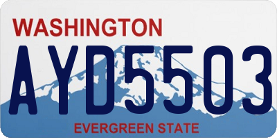 WA license plate AYD5503