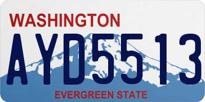 WA license plate AYD5513