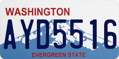 WA license plate AYD5516