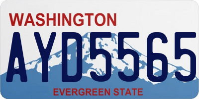 WA license plate AYD5565