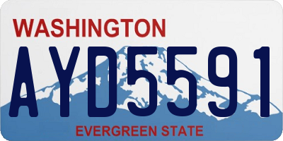 WA license plate AYD5591