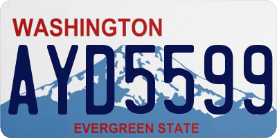 WA license plate AYD5599