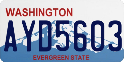 WA license plate AYD5603