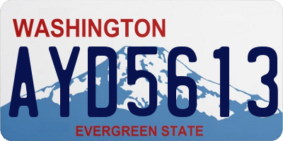 WA license plate AYD5613