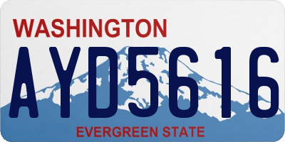 WA license plate AYD5616