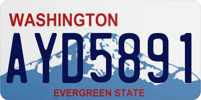 WA license plate AYD5891