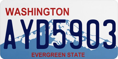 WA license plate AYD5903