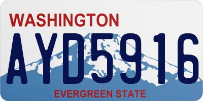 WA license plate AYD5916