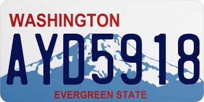 WA license plate AYD5918