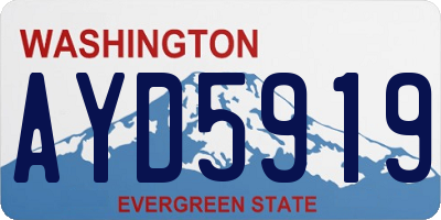 WA license plate AYD5919