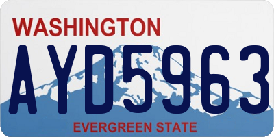 WA license plate AYD5963