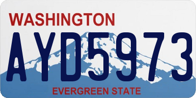 WA license plate AYD5973