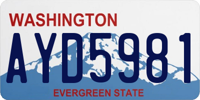 WA license plate AYD5981