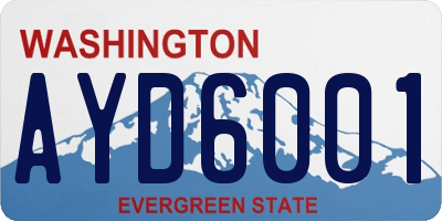 WA license plate AYD6001