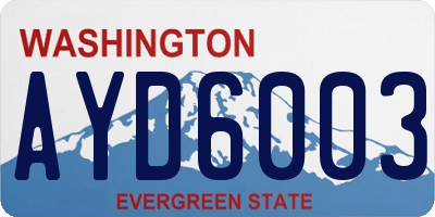 WA license plate AYD6003