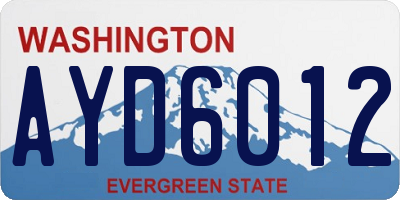 WA license plate AYD6012