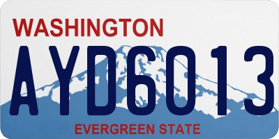 WA license plate AYD6013