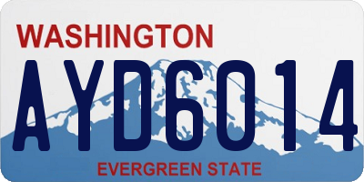 WA license plate AYD6014